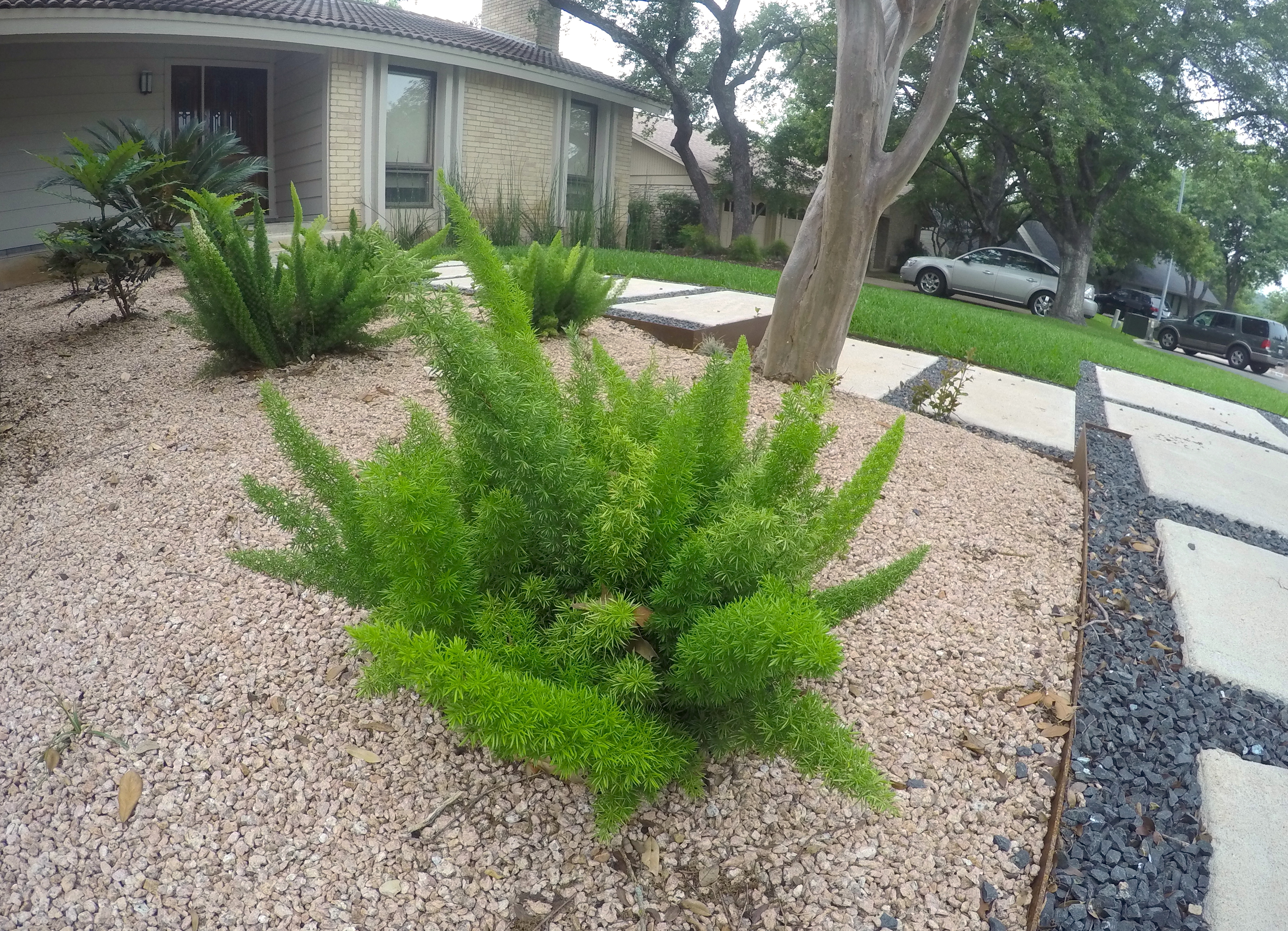Modern Landscape