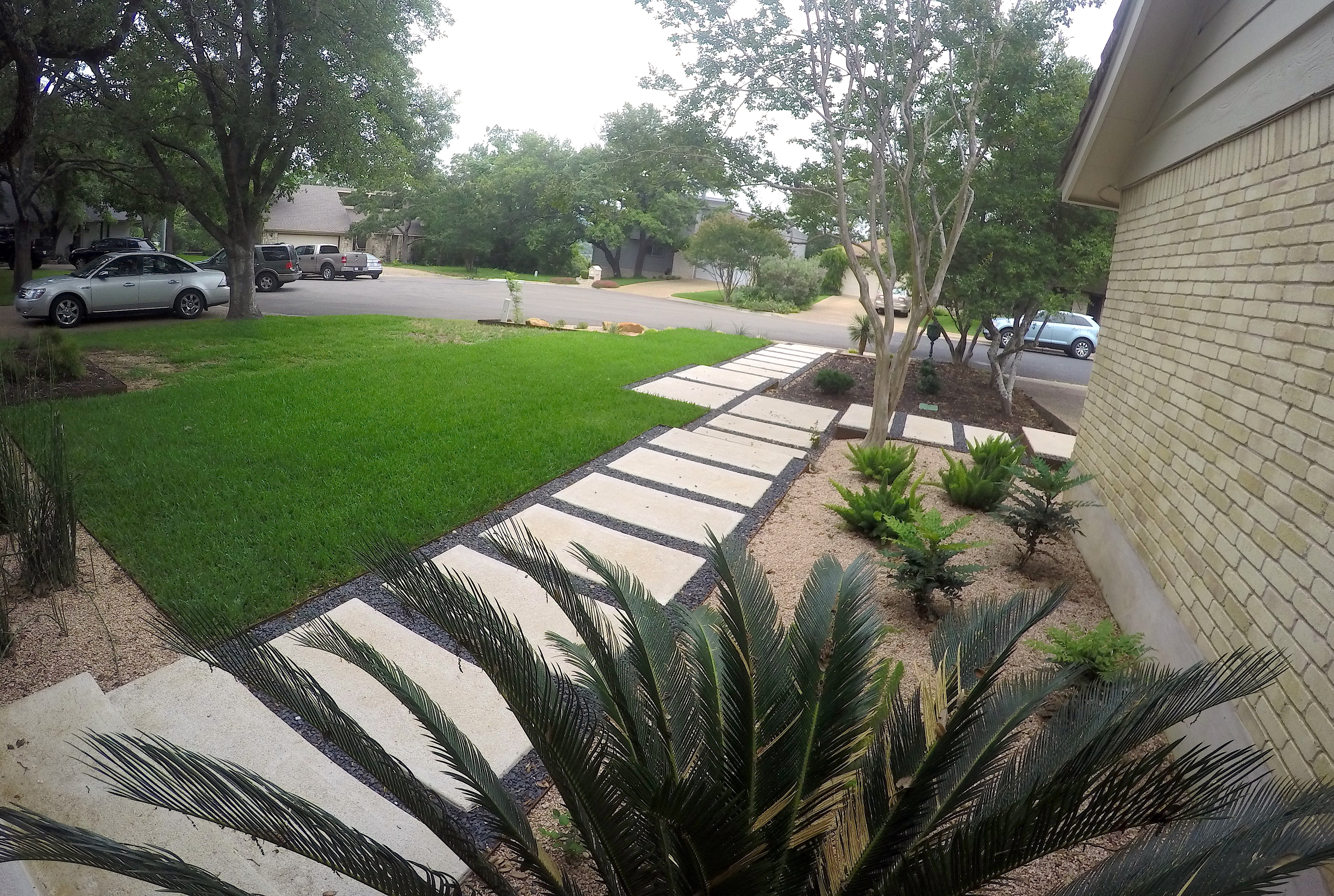 Contemporary Garden