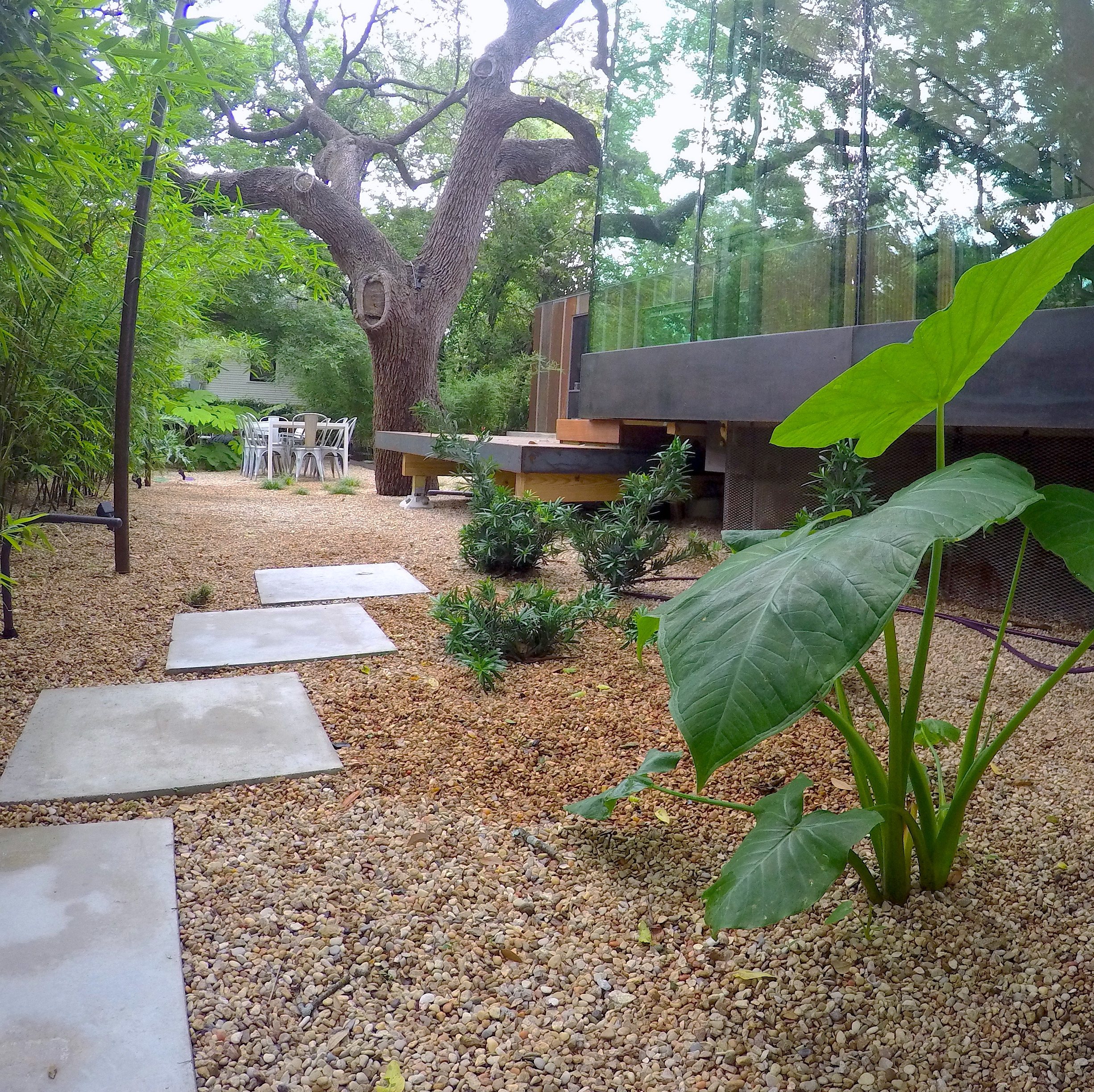 SOCO Contemporary
