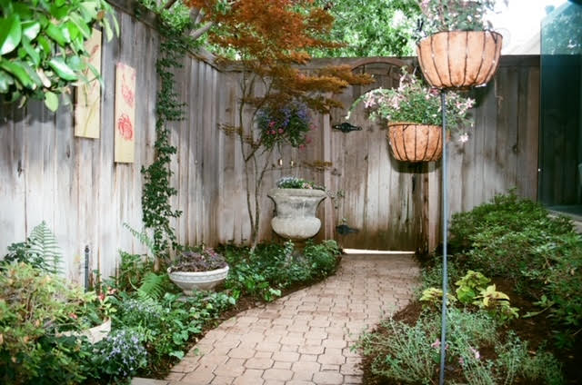 Courtyard Garden