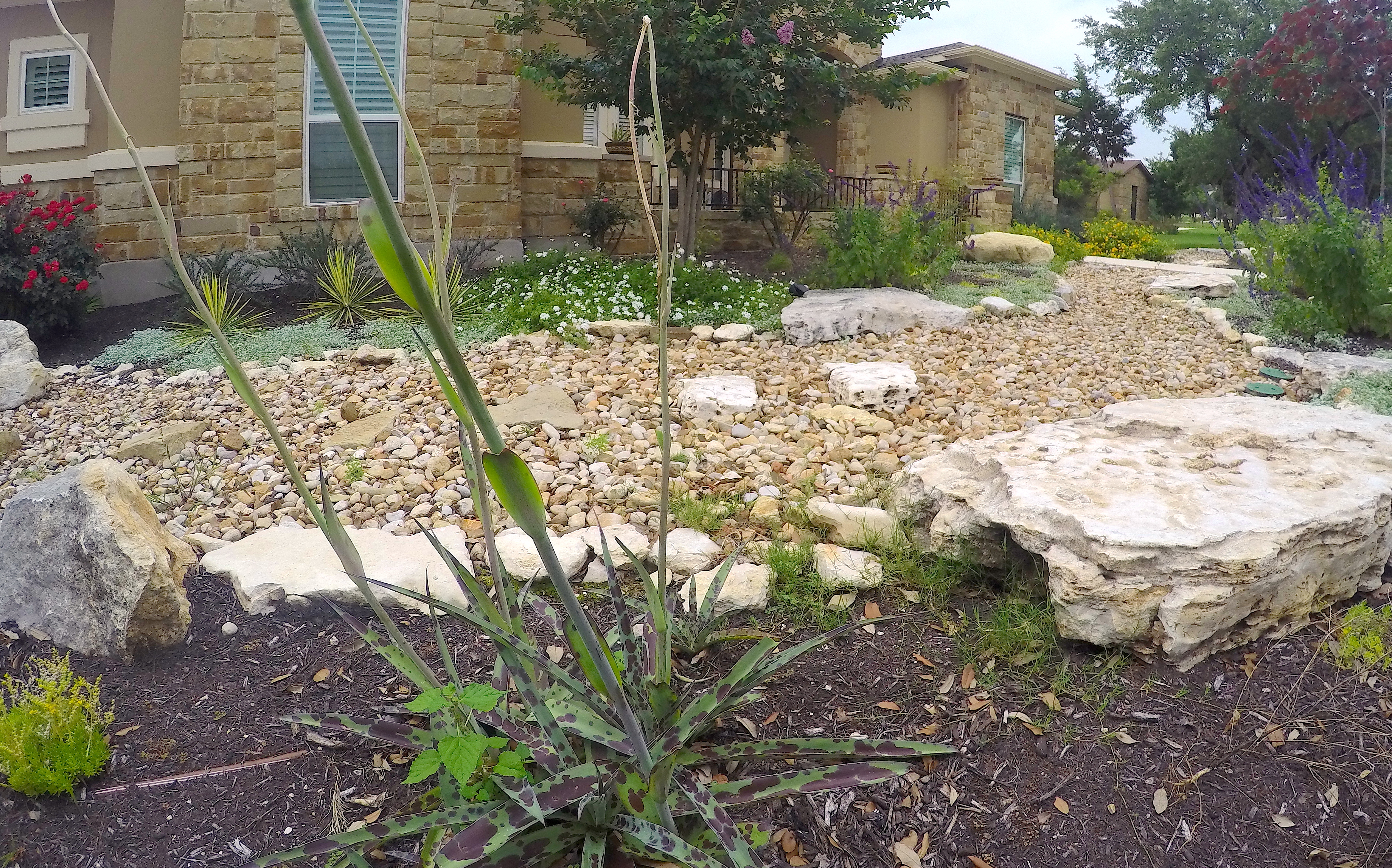 Rock Design