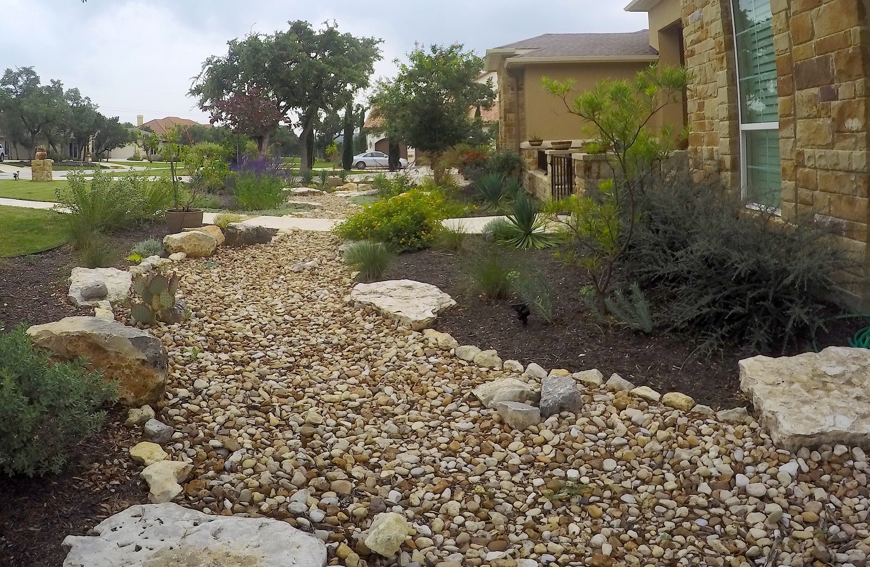 Creek Landscape