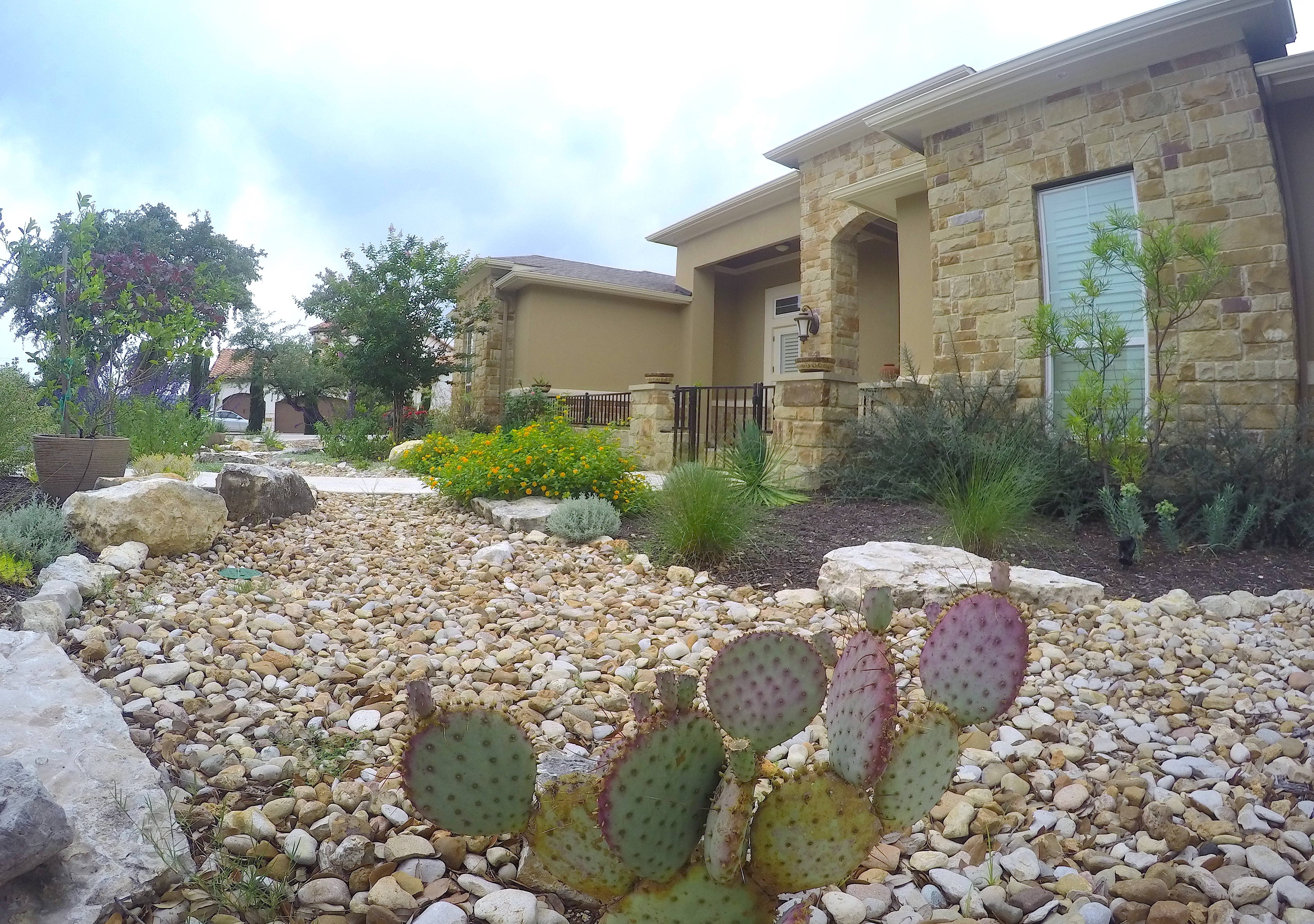 Dry Creek Design